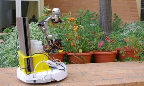 Роботы-садовники - автоматизированное сельское хозяйство 
